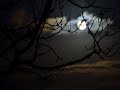 Moonlight in Vermont by Walter Jackson Moonlight in Vermont by Walter Jackson