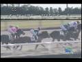 videos de [レースリプレイ] 081115 5京都3 07R