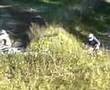 motocross in upahl