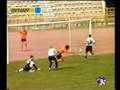 videos de pollegivesss 1-1