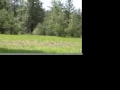2008 Zoo Town Open -Final 9, part 1 HQ