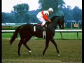 Ruffian (In Memory)