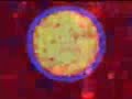 Stellarscope Inside Out Video
