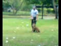 entrnando en el parque