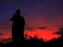Picos Pardos feat. Capaz - Culpables