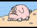 Pigboom Pigboom