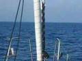 wizard 80' sloop rolling gennaker