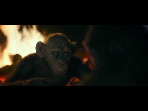 Bad Ape - Extrait Bad Ape (Anglais)