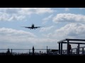 伊丹空港千里川土手