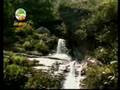 玉山國家公園：台灣國內休閒旅遊[全民時報代理行銷公播版權之播放]