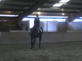 IEA-Brooke riding