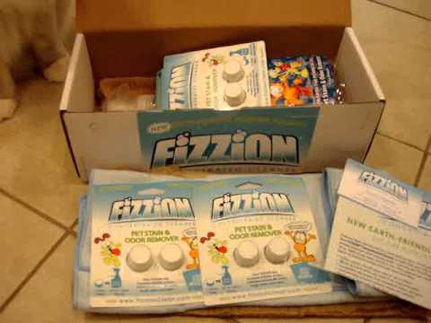 8 Cat Things I’m Crazy About Right Now 0 8 Cat Things I’m Crazy About Right Now