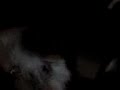 Thumbnail #1