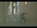 De arnhem film (1)