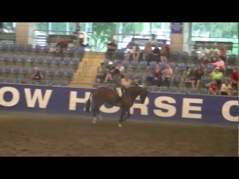 2013 grand national 2013 grand national