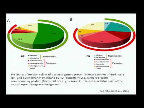 Diet, Childhood Nutrition and the Microbiome – Kathryn Dewey