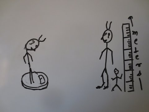 how to measure iugr