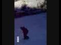 videos de yo baqueira