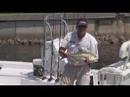 "Canal Tuna" Chew On This Saltwater ...
