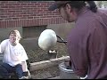 Fast Raku