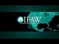IFAW Seal Hunt 2008 - The Hunt Starts - GRAPHIC FOOTAGE