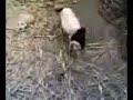 ابتعد عني ذكرى