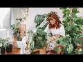 Homepage Plants &Love 18 xrG7POGqrR8