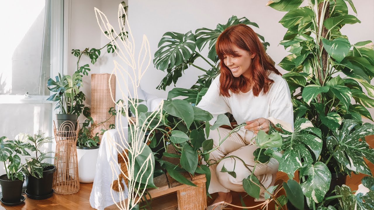 Homepage Plants &Love 17 xrG7POGqrR8