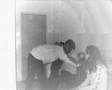 Mlode Wilki 2