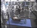 videos de Gilipollas nº 1