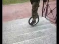 unicycle