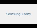 Samsung Corby S3653 Overview
