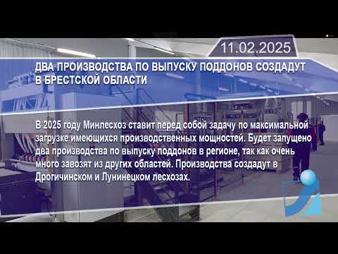 Новостная лента Телеканала Интекс 11.02.25.