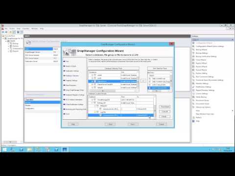 how to use snapmanager for sql