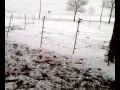 Video alisja