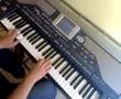 korg pa 800 beni bul anne vahde ritim putty set