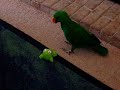 Playing Playing