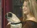 Def (the pug) from MIB Def (the pug) from MIB
