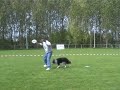 Skyler in Holland (Friesland Province)