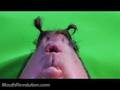 Mouth Revolution - Outtakes Only