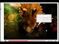 Add Captions To Youtube Videos