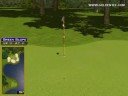 Golden Tee Great Shot on Sunny Wood!