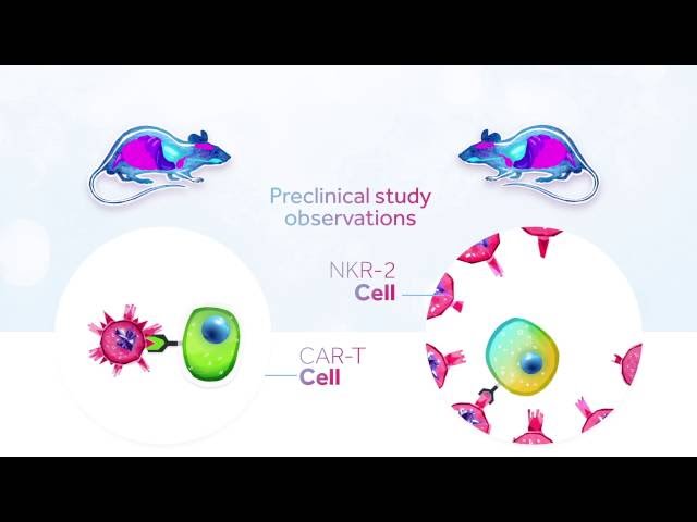 Celyad's CYAD-01 therapy