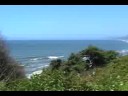  patricks point humboldt county humboldtlocals agate beach hawaiian music tiny tim tip toe thru the tulips marijuana weed
