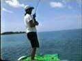 BERMUDA BONEFISH RECORD ON FLY OCT 96 WEIGHT 10LB 6OZ