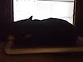 VID 00001.3GP