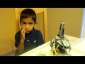 Lego 8036 Review