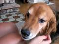 videos de shore wif krista 026
