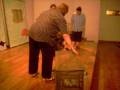 videos de Apovilo teatro terapeutico-Vivis