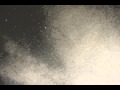 Leonid Meteor Shower 2009